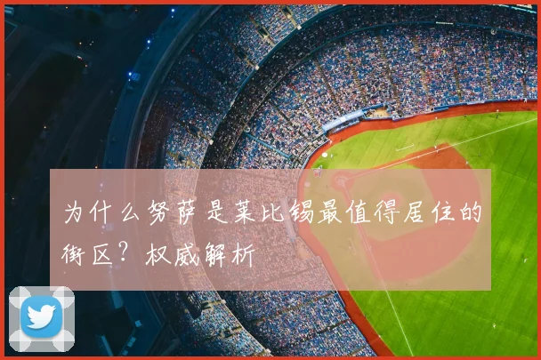 为什么努萨是莱比锡最值得居住的街区？权威解析