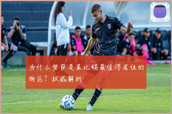 为什么努萨是莱比锡最值得居住的街区？权威解析