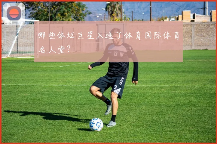 哪些体坛巨星入选了体育国际体育名人堂？